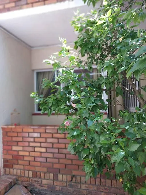 Charming 2-Bedroom Apartment In Kenilworth Cape Town